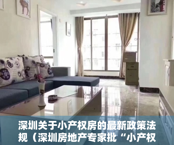 深圳关于小产权房的最新政策法规（深圳房地产专家批“小产权房转正” 称只有历史违建）