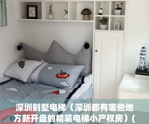 深圳别墅电梯（深圳都有哪些地方新开盘的精装电梯小产权房）(深圳别墅最便宜多少钱)
