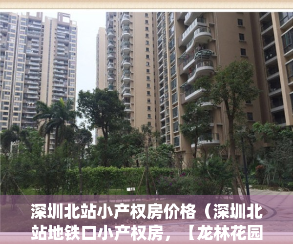 深圳北站小产权房价格（深圳北站地铁口小产权房，【龙林花园）(深圳北站附近小产权房被强拆)