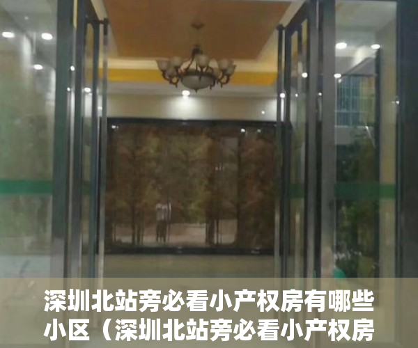 深圳北站旁必看小产权房有哪些小区（深圳北站旁必看小产权房有哪些）