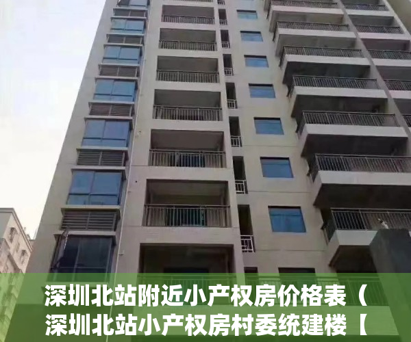 深圳北站附近小产权房价格表（深圳北站小产权房村委统建楼【北站新苑】深圳北上丰花园周边小产权房北站新苑】地铁口物业（北站新苑）电梯房）