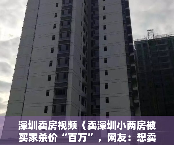 深圳卖房视频（卖深圳小两房被买家杀价“百万”，网友：想卖二手房太难了……）