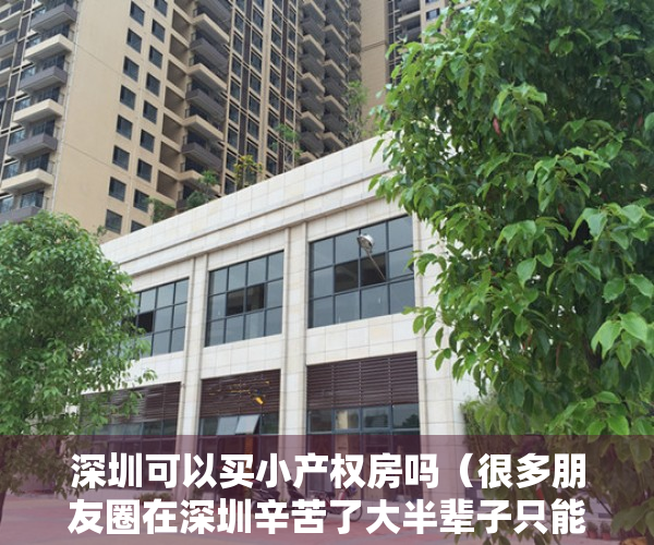 深圳可以买小产权房吗（很多朋友圈在深圳辛苦了大半辈子只能买小产权，让我来看看究竟看看值不值）