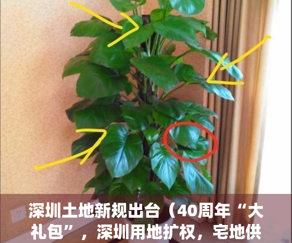 深圳土地新规出台（40周年“大礼包”，深圳用地扩权，宅地供应难题将解）(深圳2021土地)