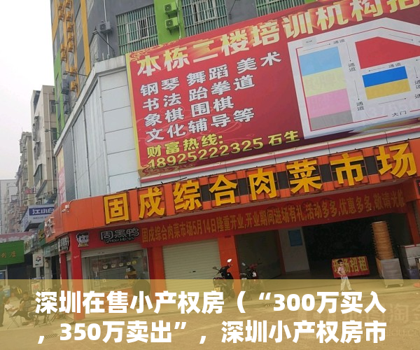 深圳在售小产权房（“300万买入，350万卖出”，深圳小产权房市场为何如此火爆？）