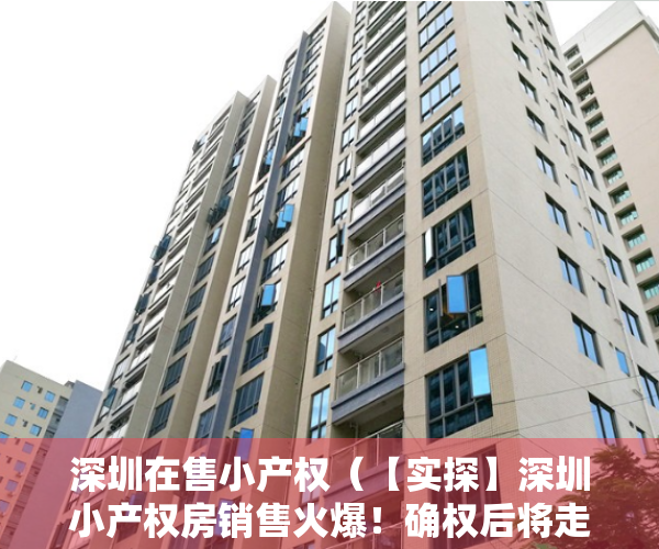 深圳在售小产权（【实探】深圳小产权房销售火爆！确权后将走向何方？购买者是这么想的……）