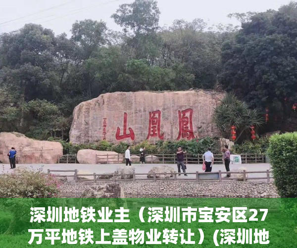 深圳地铁业主（深圳市宝安区27万平地铁上盖物业转让）(深圳地铁上盖物业项目有哪些)