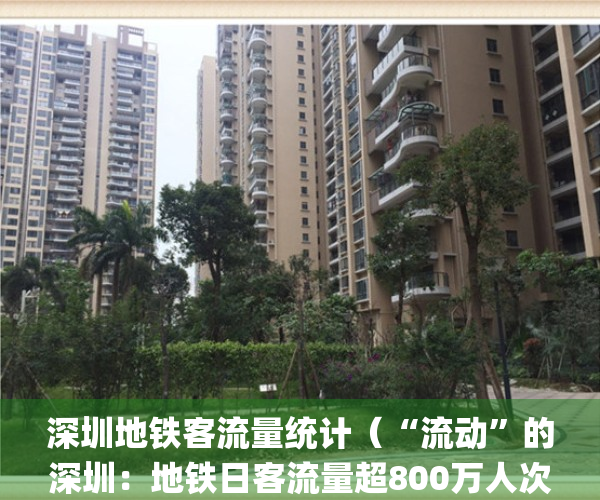 深圳地铁客流量统计（“流动”的深圳：地铁日客流量超800万人次）(深圳地铁各线每日客流量2020)
