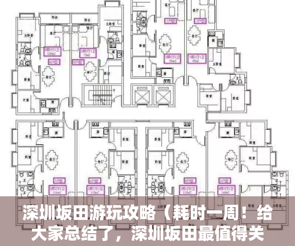 深圳坂田游玩攻略（耗时一周！给大家总结了，深圳坂田最值得关注的三个小产权盘！）