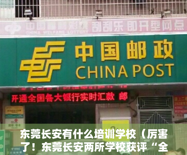 东莞长安有什么培训学校（厉害了！东莞长安两所学校获评“全国航空特色学校”）
