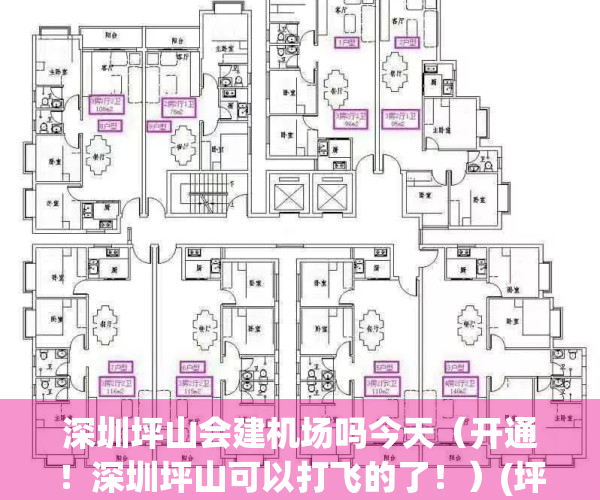 深圳坪山会建机场吗今天（开通！深圳坪山可以打飞的了！）(坪山重大建设项目进展)