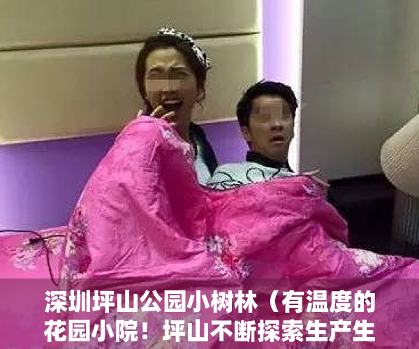 深圳坪山公园小树林（有温度的花园小院！坪山不断探索生产生活生态深融合的新实践）
