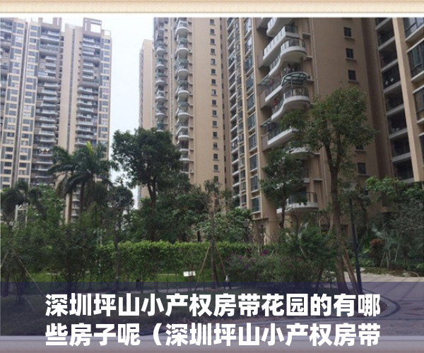 深圳坪山小产权房带花园的有哪些房子呢（深圳坪山小产权房带花园的有哪些？）
