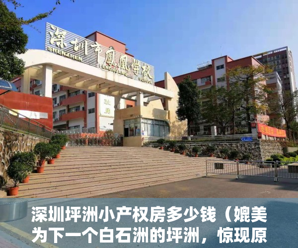 深圳坪洲小产权房多少钱（媲美为下一个白石洲的坪洲，惊现原始户型的小产权房，在拆除重建的范围内！）