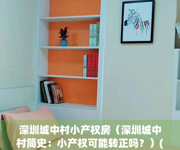 深圳城中村小产权房（深圳城中村简史：小产权可能转正吗？）(深圳城中村出售)