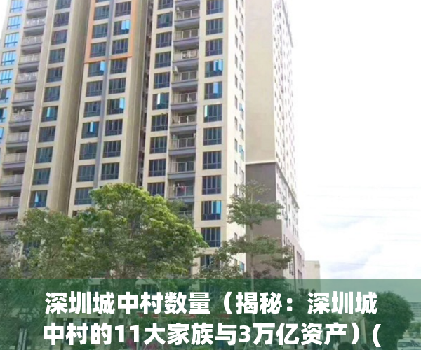 深圳城中村数量（揭秘：深圳城中村的11大家族与3万亿资产）(深圳城中村最多的时候多少个)