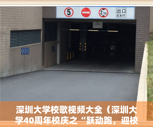 深圳大学校歌视频大全（深圳大学40周年校庆之“跃动跑，迎校庆”系列活动正式启动）
