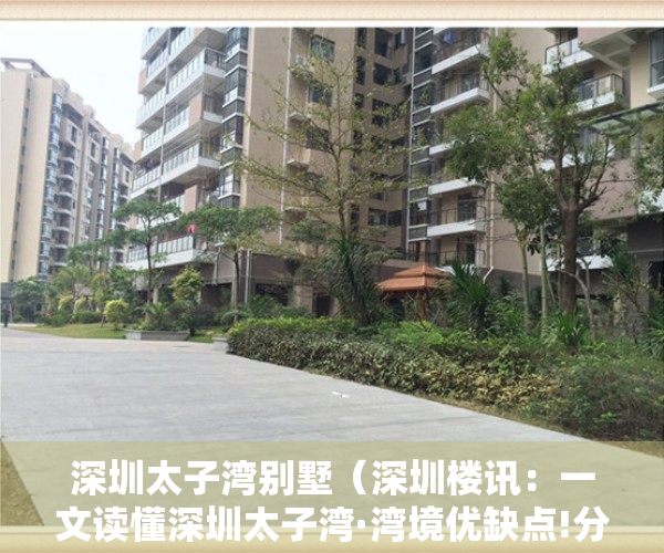深圳太子湾别墅（深圳楼讯：一文读懂深圳太子湾·湾境优缺点!分析一下太子湾·湾境值得买吗）