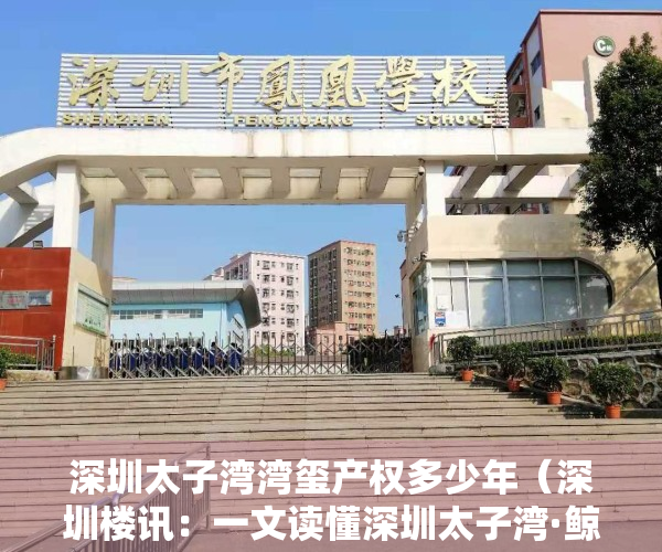 深圳太子湾湾玺产权多少年（深圳楼讯：一文读懂深圳太子湾·鲸域优缺点!分析一下太子湾·鲸域值得买吗）