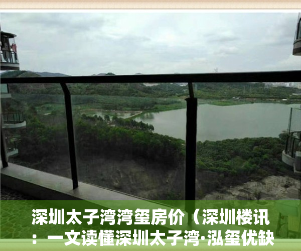 深圳太子湾湾玺房价（深圳楼讯：一文读懂深圳太子湾·泓玺优缺点!分析一下太子湾·泓玺值得买吗）