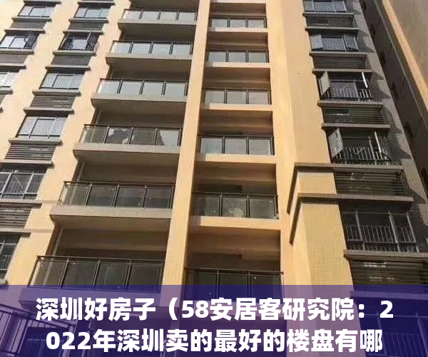 深圳好房子（58安居客研究院：2022年深圳卖的最好的楼盘有哪些？）(深圳最好卖的户型)