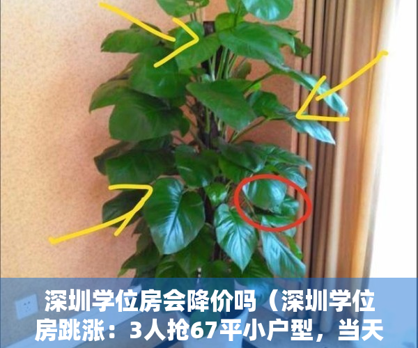 深圳学位房会降价吗（深圳学位房跳涨：3人抢67平小户型，当天760万全款成交）