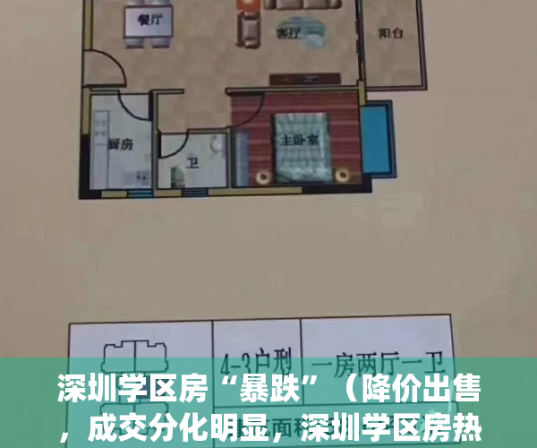 深圳学区房“暴跌”（降价出售，成交分化明显，深圳学区房热度下降）(深圳学区房降价了吗)