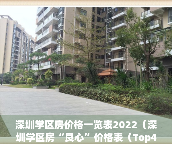 深圳学区房价格一览表2022（深圳学区房“良心”价格表（Top40版））(深圳市学区房价)