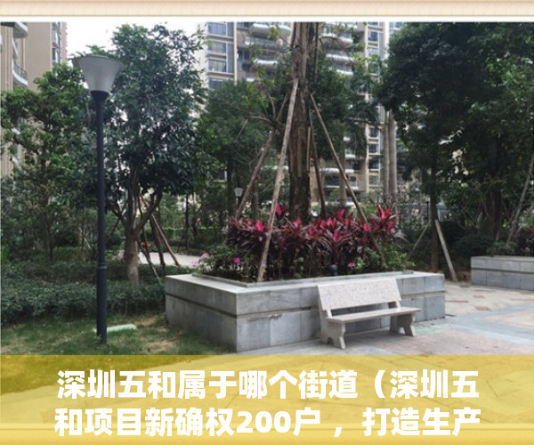 深圳五和属于哪个街道（深圳五和项目新确权200户 ，打造生产、生态、生活融合共生的无界和谐枢纽站城）