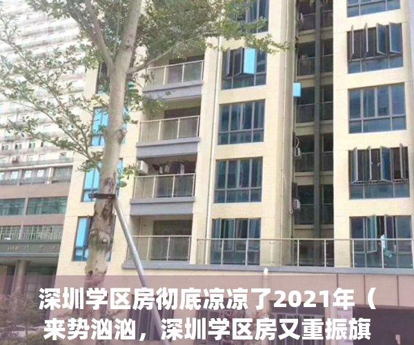 深圳学区房彻底凉凉了2021年（来势汹汹，深圳学区房又重振旗鼓了）(炸锅!深圳一处学区房3个月暴跌40%)