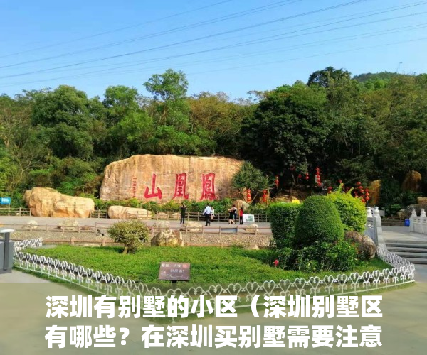 深圳有别墅的小区（深圳别墅区有哪些？在深圳买别墅需要注意哪些方面？）