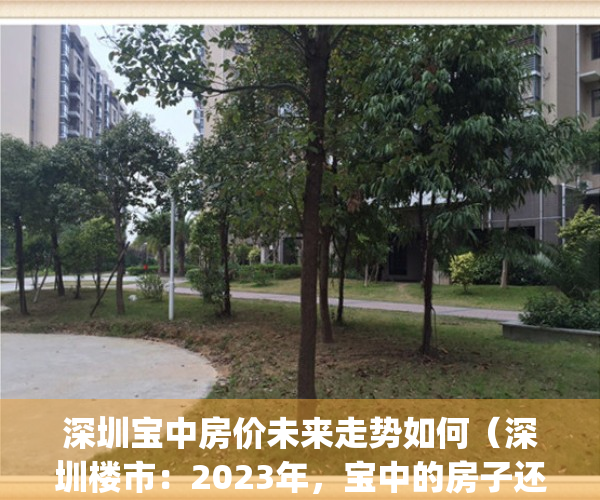 深圳宝中房价未来走势如何（深圳楼市：2023年，宝中的房子还能买吗？）(深圳宝中楼盘)