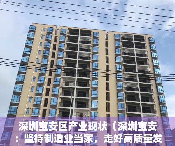 深圳宝安区产业现状（深圳宝安：坚持制造业当家，走好高质量发展之路）