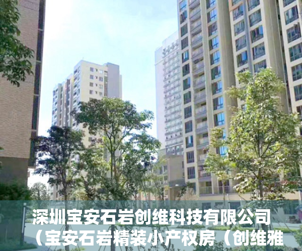 深圳宝安石岩创维科技有限公司（宝安石岩精装小产权房（创维雅苑）首付146万套起 分期6年）