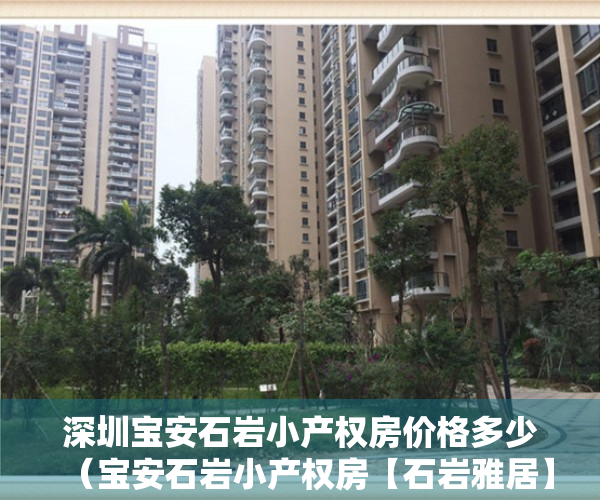 深圳宝安石岩小产权房价格多少（宝安石岩小产权房【石岩雅居】地铁口800米 原始户型 无暗房）