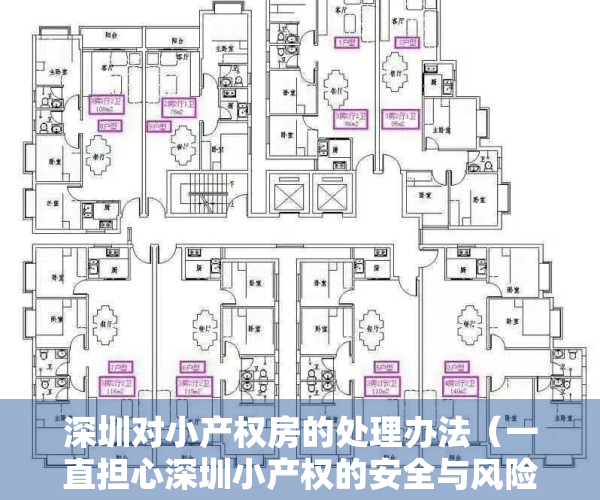 深圳对小产权房的处理办法（一直担心深圳小产权的安全与风险问题？现在终于有了答案！）