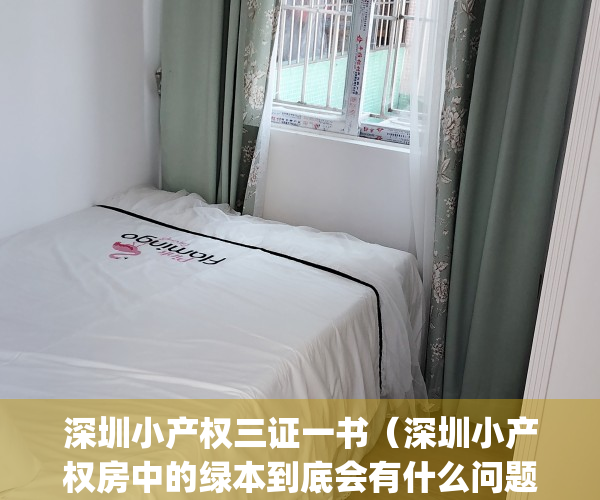 深圳小产权三证一书（深圳小产权房中的绿本到底会有什么问题？）(深圳小产权房产权证明材料是什么)