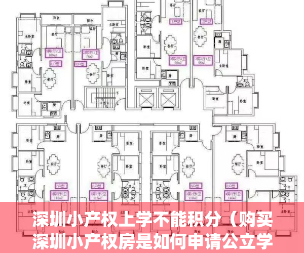 深圳小产权上学不能积分（购买深圳小产权房是如何申请公立学校？）(深圳小产权可以读公立吗)