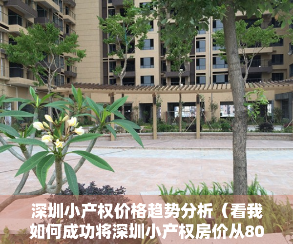 深圳小产权价格趋势分析（看我如何成功将深圳小产权房价从8000砍到了12000）