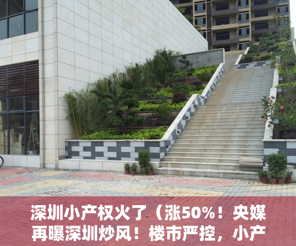 深圳小产权火了（涨50%！央媒再曝深圳炒风！楼市严控，小产权房为何开启暴涨模式）