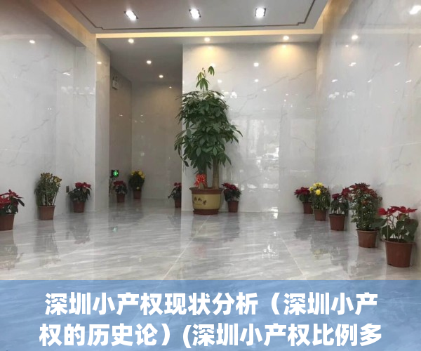 深圳小产权现状分析（深圳小产权的历史论）(深圳小产权比例多少)