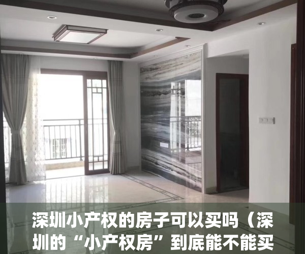 深圳小产权的房子可以买吗（深圳的“小产权房”到底能不能买？）(深圳小产权房可以买吗?有什么技巧)