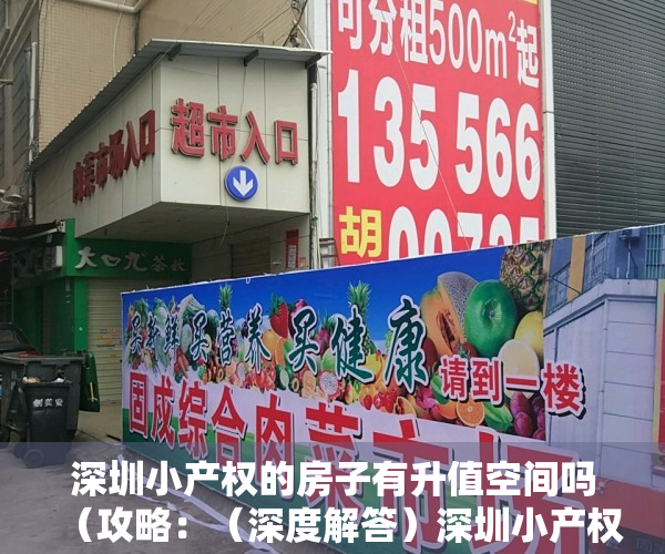 深圳小产权的房子有升值空间吗（攻略：（深度解答）深圳小产权房能买吗，有保障吗？）