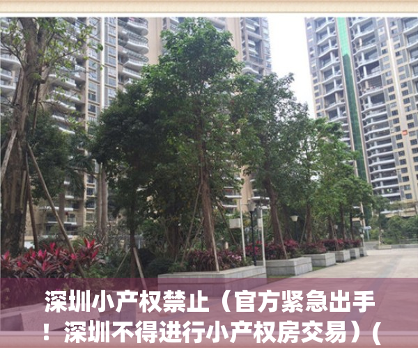 深圳小产权禁止（官方紧急出手！深圳不得进行小产权房交易）(深圳不让卖小产权)
