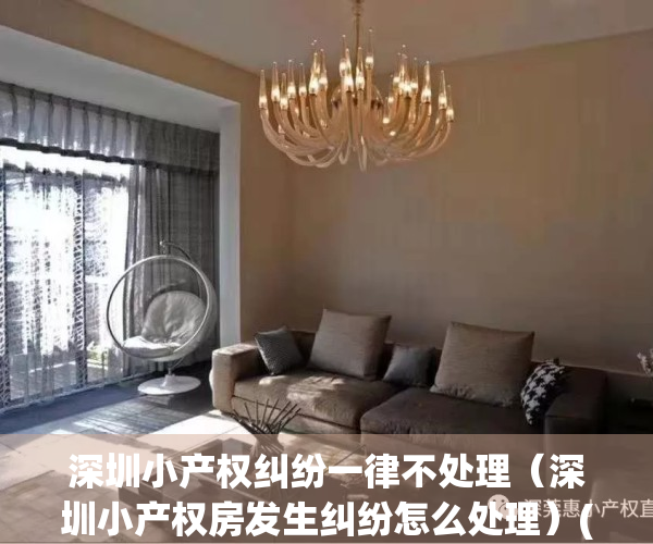 深圳小产权纠纷一律不处理（深圳小产权房发生纠纷怎么处理）(深圳小产权纠纷案)