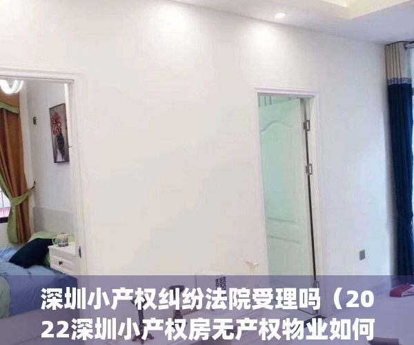 深圳小产权纠纷法院受理吗（2022深圳小产权房无产权物业如何确权(深圳小产权房确权规定)）