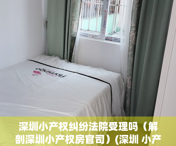 深圳小产权纠纷法院受理吗（解剖深圳小产权房官司）(深圳 小产权 纠纷)