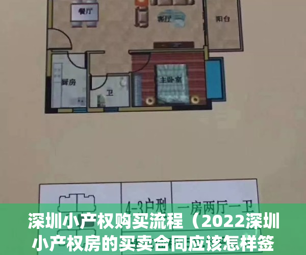 深圳小产权购买流程（2022深圳小产权房的买卖合同应该怎样签）(深圳小产权房买卖流程2019)