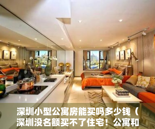 深圳小型公寓房能买吗多少钱（深圳没名额买不了住宅！公寓和小产权怎么选择？）