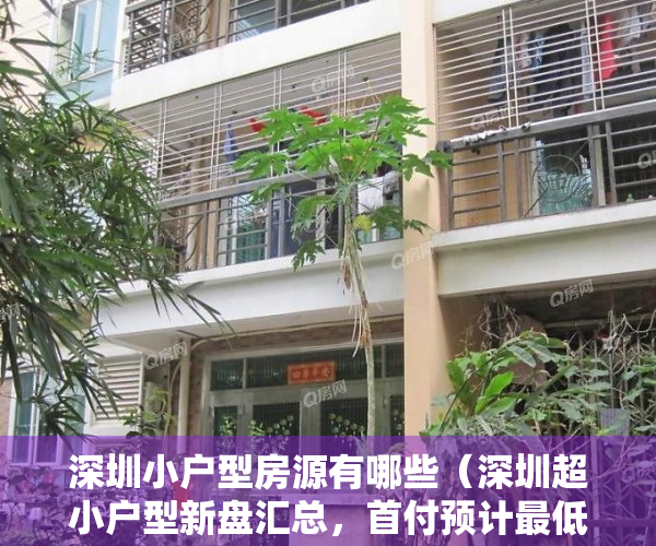 深圳小户型房源有哪些（深圳超小户型新盘汇总，首付预计最低仅30万起！）
